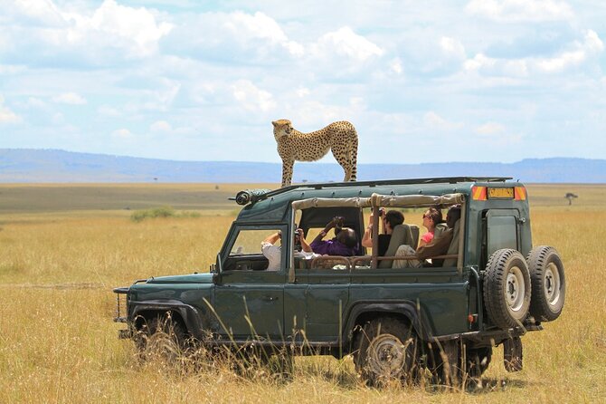 7 Days Northern Luxury Safari - Day 2: Tarangire’s elephants and baobabs