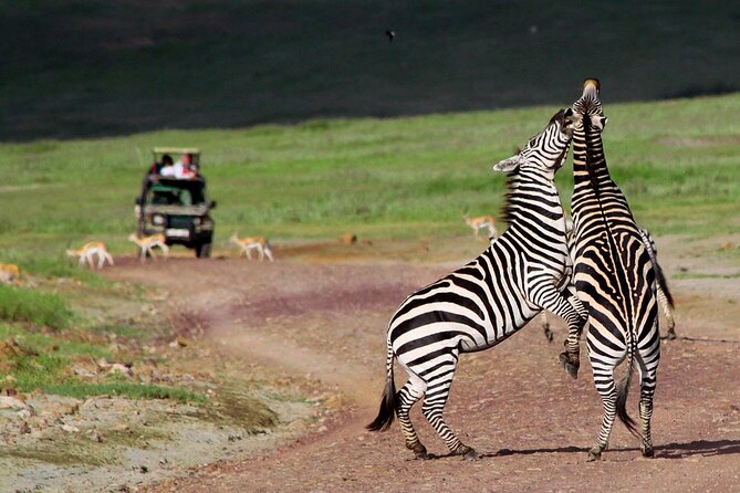 7 Days Northern Luxury Safari - Day 7: The airport transfer needs careful checking