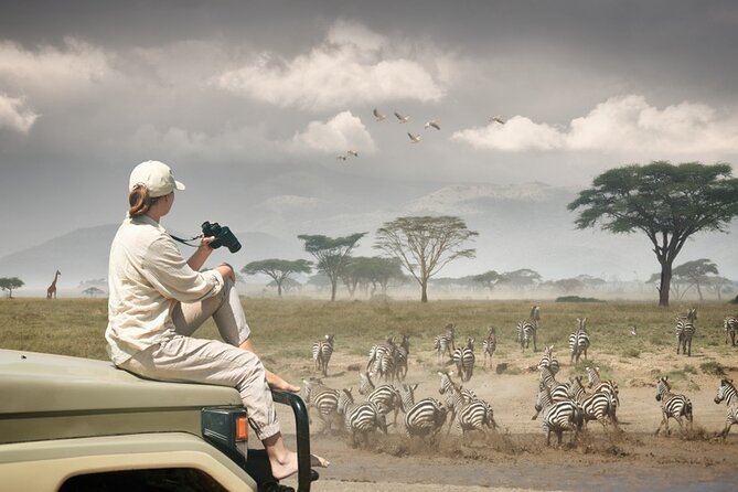 7 Days Northern Luxury Safari - The 4X4, guide, and daily comfort