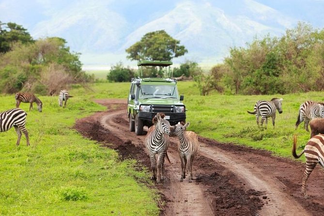 7-Days Private Midrange Safari; Serengeti & Ngorongoro Crater - Day 1: Walking beneath Mount Meru in Arusha National Park