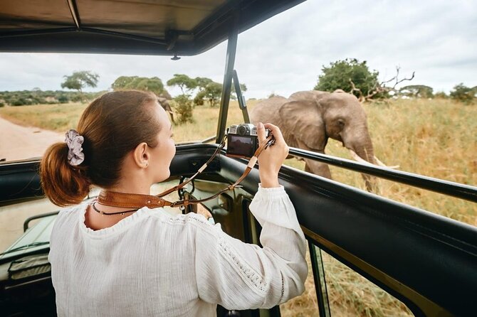 7-Days Private Midrange Safari; Serengeti & Ngorongoro Crater - Day 4: Two game drives in the Serengeti