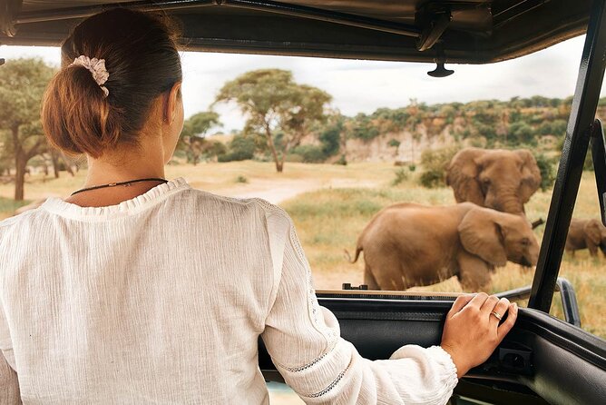 7-Days Private Midrange Safari; Serengeti & Ngorongoro Crater - Day 7: Returning to Arusha and the airport