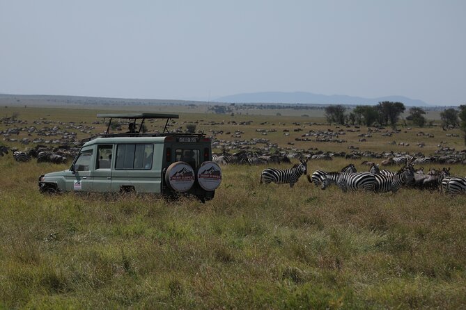 7 Days Private Serengeti Wildebeest Migration Tour - Key points to know before booking