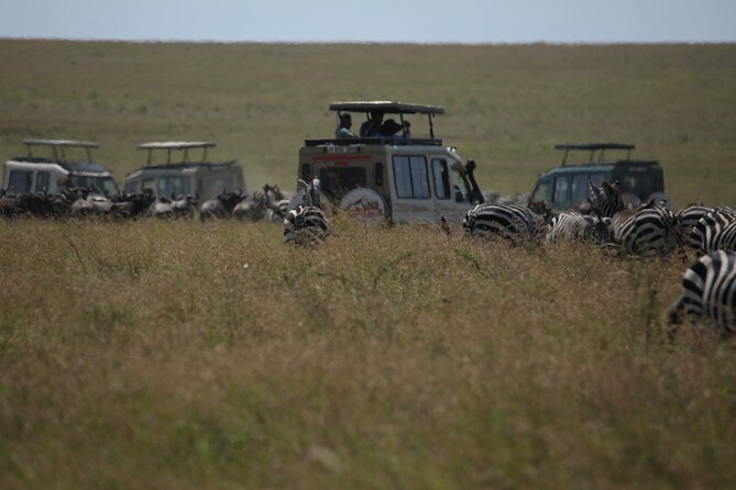 7 Days Private Serengeti Wildebeest Migration Tour - Entering Serengeti National Park on day three