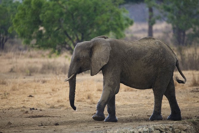 7 Days Safari. Serengeti, Tarangire, Lake Manyara & Ngorongoro Crater. - Guides, vehicles, and the private format