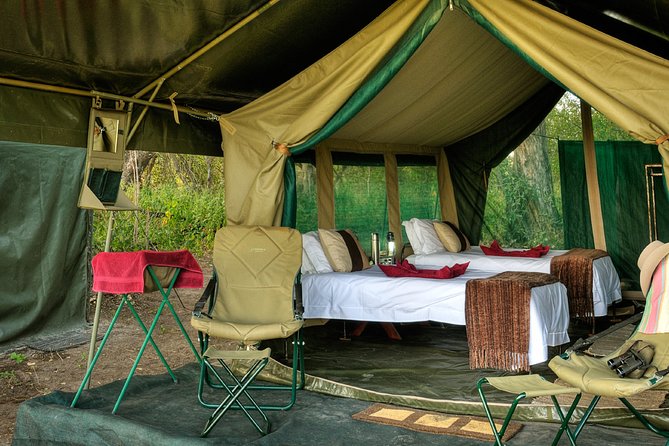 7 Days Safari. Serengeti, Tarangire, Lake Manyara & Ngorongoro Crater. - Day 1: Tarangire’s elephants and baobabs