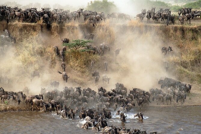 7 days safaris to see great migration - Days 4 and 5: Ndutu is the migration centerpiece