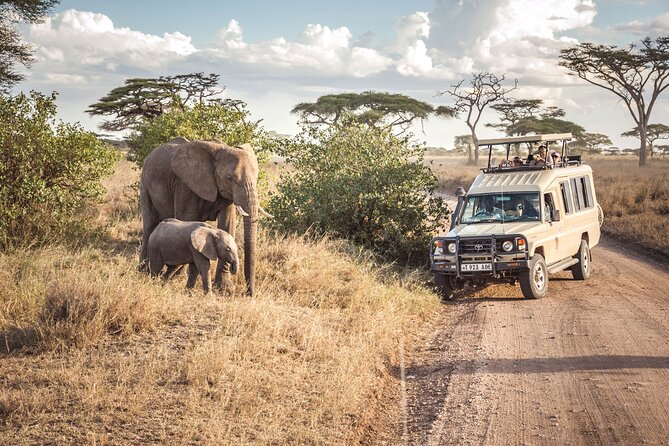 7 days safaris to see great migration - Day 6: From Ndutu to the Ngorongoro rim