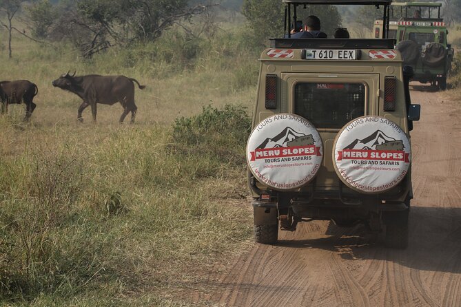 7 Days Serena Experience to Serengeti Great Migration - Arusha arrival and the first briefing