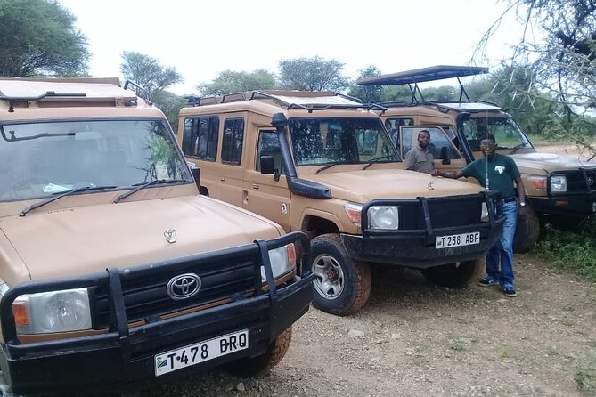 7 Days Tanzania Mid-range lodge safari - What the $3,300 price gets you