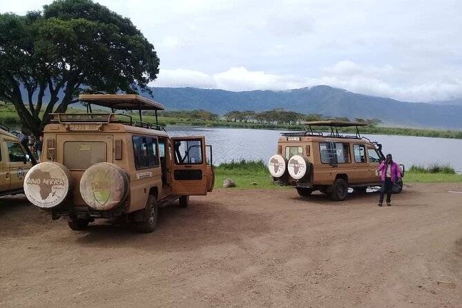7 Days Tanzania Mid-range lodge safari - Day 5: Flight to Arusha and a final afternoon