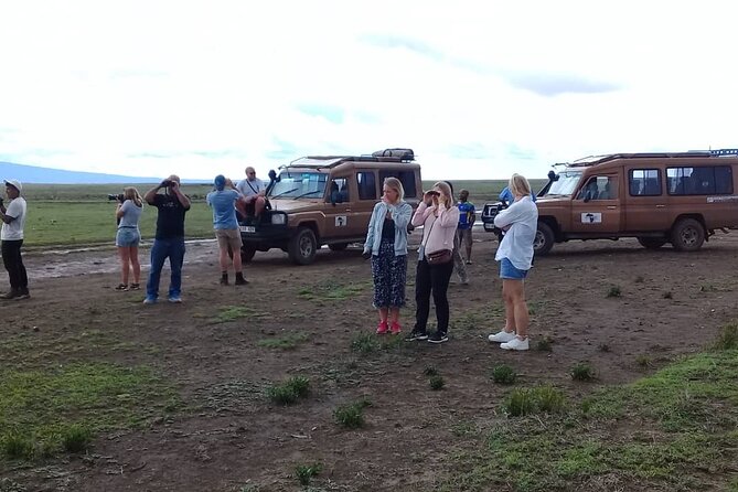 7 Days Tanzania Mid-range lodge safari - The guide can make or break the safari