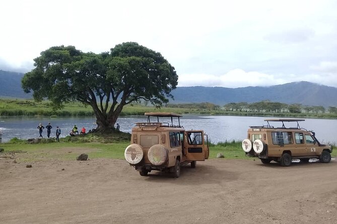 7 Days Tanzania Mid-range lodge safari - Day 1: Lake Manyara and a hilltop camp