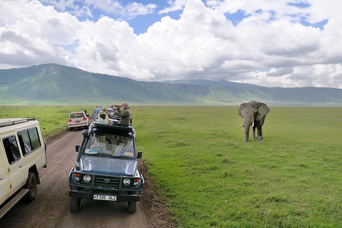 7 Days Tarangire, Serengeti, Ngorongoro & Manyara Camping Safari Tour Tanzania - Tarangire Brings a Different Kind of Safari