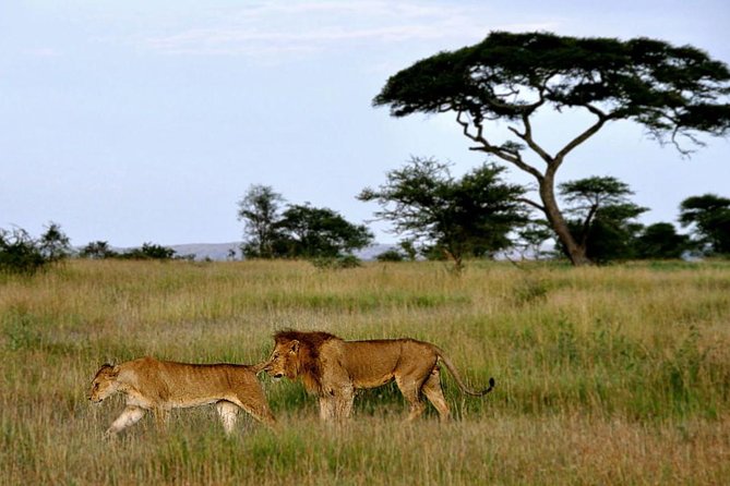 7 Days Tour Northern Tanzania Safari: - Day 7: Arusha National Park and the final airport transfer
