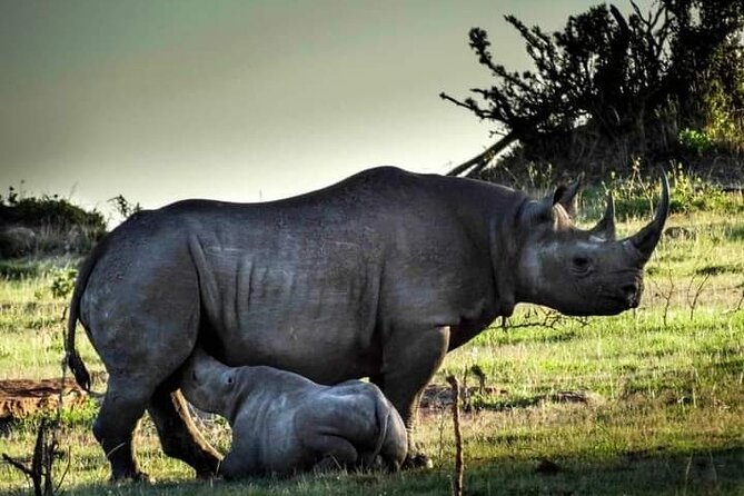 7 Days Tour Northern Tanzania Safari: - Day 2: The long road to Serengeti