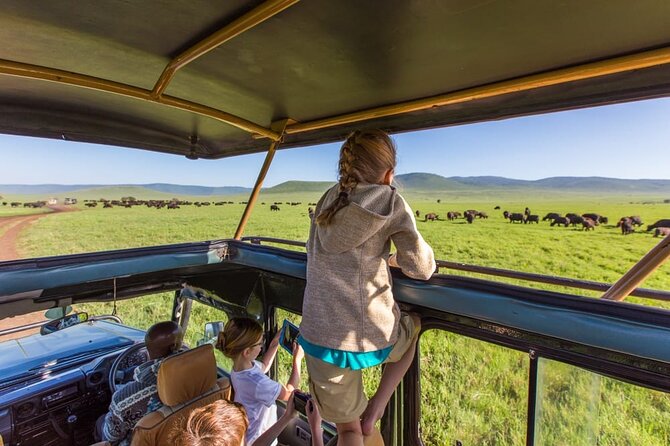8-Day 7Nights Serengeti Experience Safari Adventure - Key points to know before booking