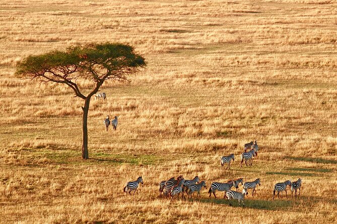 8-Day Essence of Tanzania Safari - Luxury - Olduvai Gorge marks the road into the Serengeti