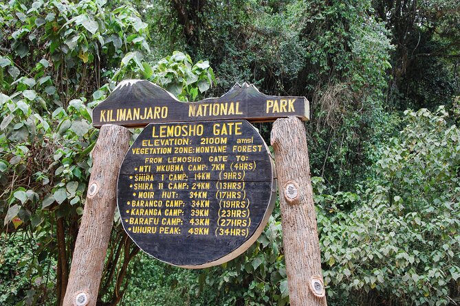 8 Day Kilimanjaro Lemosho Climb - Day 2: Leaving The Trees For Shira Ridge
