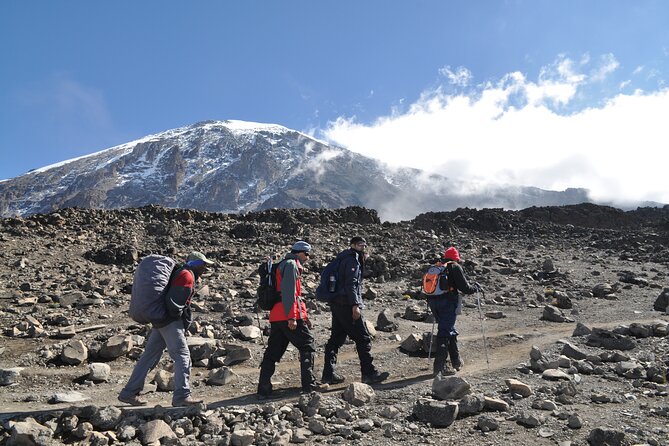 8 Day Kilimanjaro Lemosho Climb - Day 3: Across The Shira Plateau