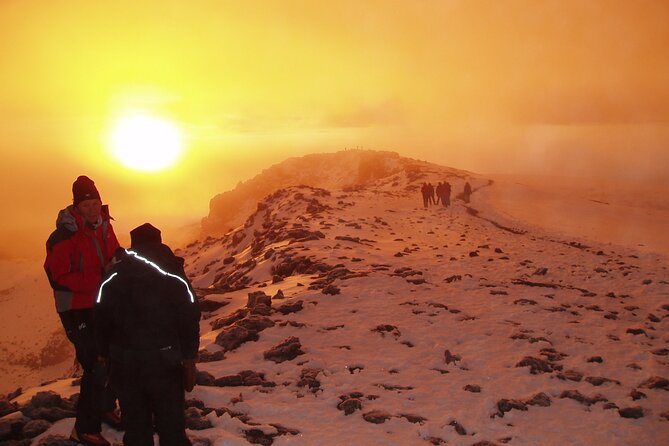 8 Day Kilimanjaro Lemosho Climb - Day 6: Short Walk To High Camp
