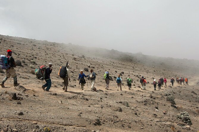 8 Day Kilimanjaro Lemosho Climb - Day 1: Moshi To The Lemosho Rainforest