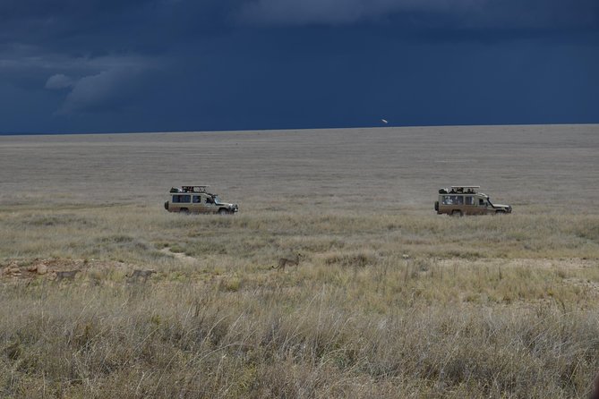 8 Day private wildebeest migration safari Serengeti Ngorongoro - Days 3 to 5: Three days in the Serengeti