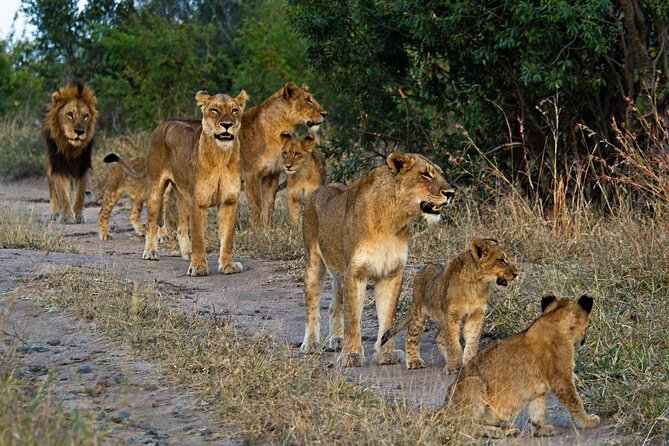 8 Day Safari The Best of Tanzania & Lake Eyasi - Why this safari covers so much in eight days