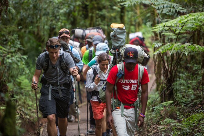 8-Day Small-group Lemosho Kilimanjaro Summit Trekking - Day 5: Climbing the Barranco Wall