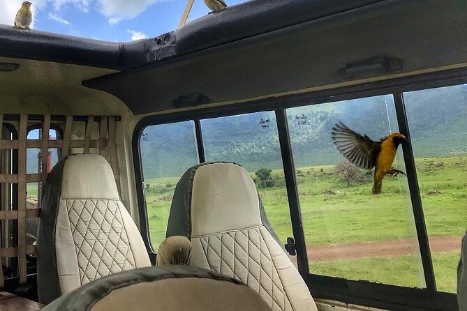 8-Day Tanzania Private Safari Tour with Airport Pickup - What this eight-day Tanzania safari is really like