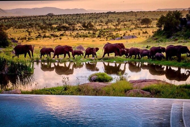 8-Day Tanzania Private Safari Tour with Airport Pickup - Day 3: Lake Manyara below the Rift Valley wall