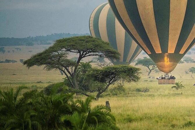 8-Day Tanzania Private Safari Tour with Airport Pickup - Days 5 and 6: Three nights give Serengeti room to breathe