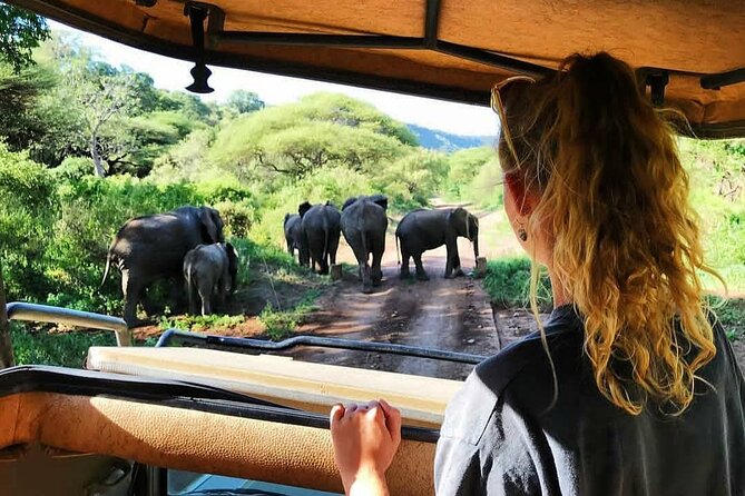 8-Day Tanzania Private Safari Tour with Airport Pickup - Day 1: A soft landing in the Kilimanjaro region