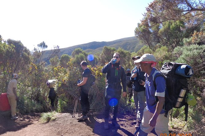 8 Days 7 Nights Kilimanjaro Lemosho Route - Why the Lemosho Route is worth eight days