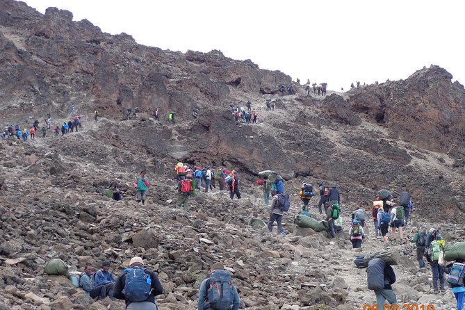 8 Days 7 Nights Kilimanjaro Lemosho Route - Day seven: Stella Point, Uhuru Peak, and the long descent