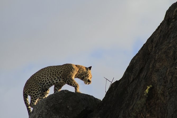 8 Days 7 Nights Private Lodge Safari - Returning to the airport on Day 8