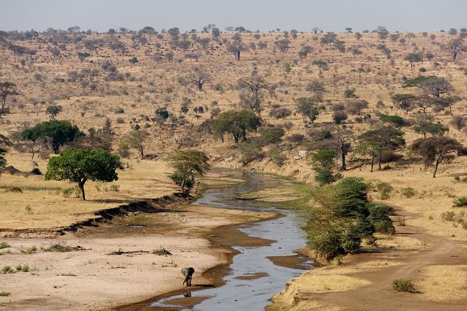 8 Days 7 Nights Tanzania Wildlife & Culture Lodge Safari - Day six: Ngorongoro Crater’s concentrated wildlife