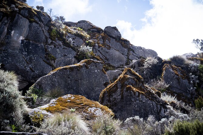 8 Days Climbing Mt.Kilimanjaro (Lemosho Route) - Day 6: Karanga to Barafu Camp