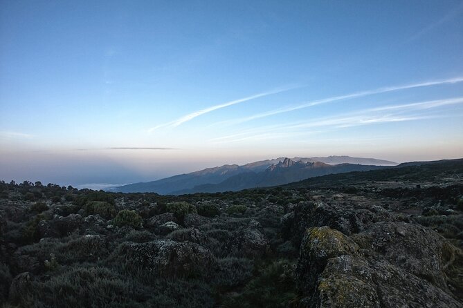 8 Days Climbing Mt.Kilimanjaro (Lemosho Route) - Day 2: Mti Mkubwa to Shira 1