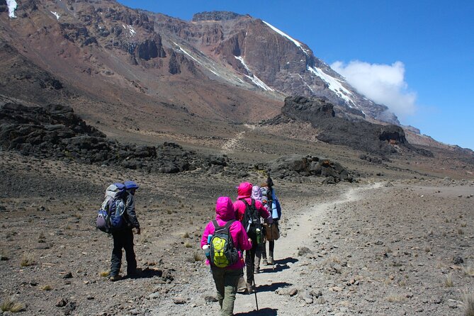 8 Days Climbing Of Mount Kilimanjaro Machame Route In Tanzania - Who should choose this Kilimanjaro experience?