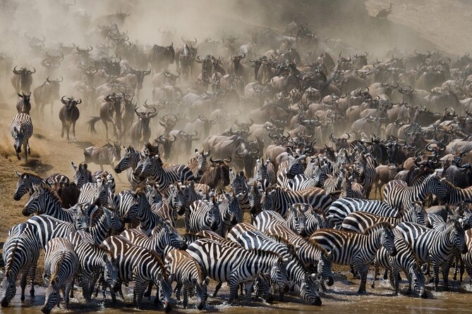 8 Days Follow the Wildebeest Migration River Crossing Safari - Day Eight: Back To Arusha And The Airport