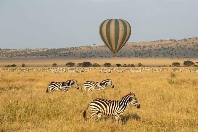 8 Days Follow the Wildebeest Migration River Crossing Safari - Day One: A Gentle Start In Arusha