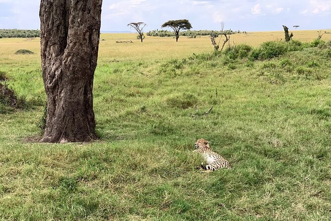 8 Days Great Wildebeest Calving Migration Safari from Arusha - Day 4: Reaching the Ndutu area