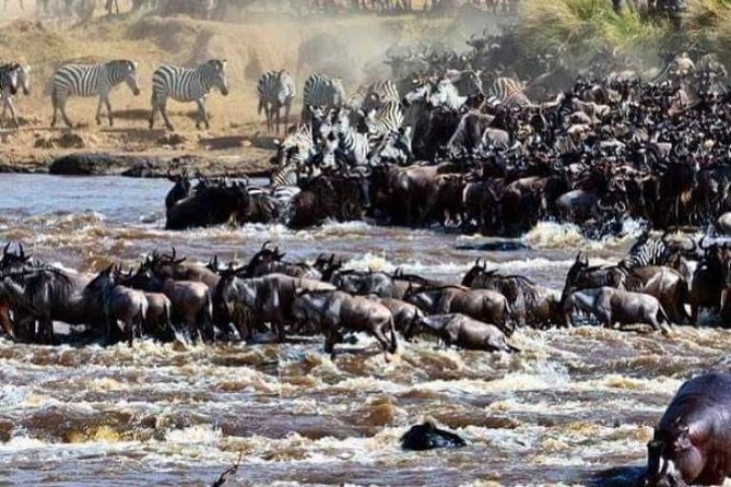 8 Days Great Wildebeest Migration - Mara River Crossing - Entering Serengeti through the Ngorongoro Conservation Area