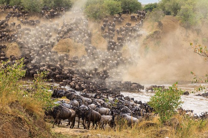 8 Days Great Wildebeest Migration - Mara River Crossing - Two game drives along the Mara River