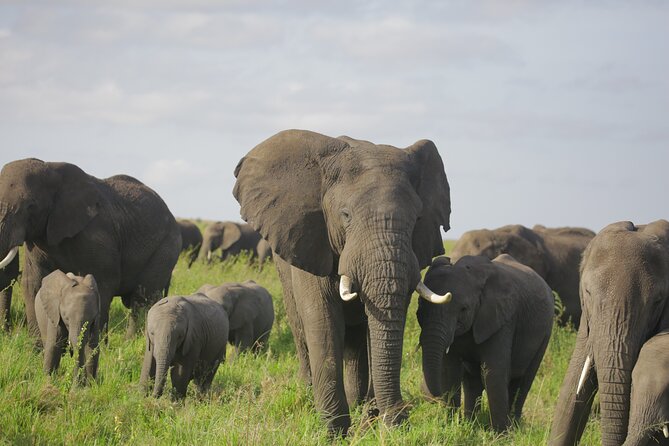 8 Days Green Season Offer - Luxury Serena Safari - What the Serena accommodation adds