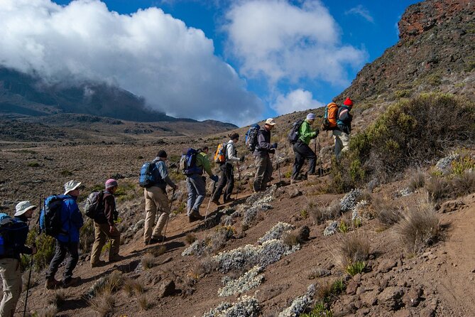 8 Days Guided Private Trekking in Mount Kilimanjaro - Five things to know before you book