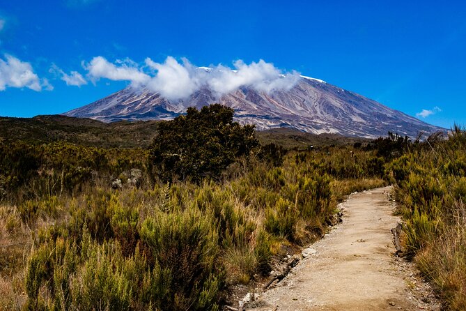 8 Days Guided Private Trekking in Mount Kilimanjaro - Why the Lemosho route works well over eight days