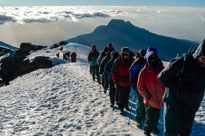 8 Days Guided Private Trekking in Mount Kilimanjaro - Day 2: Rainforest gives way to moorland