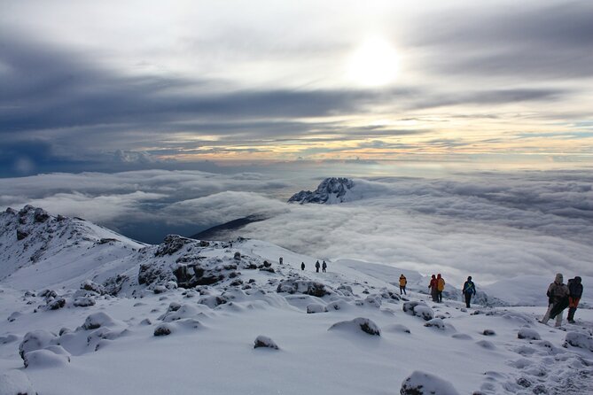 8 Days Guided Private Trekking in Mount Kilimanjaro - Day 5: A short climb to Karanga Camp